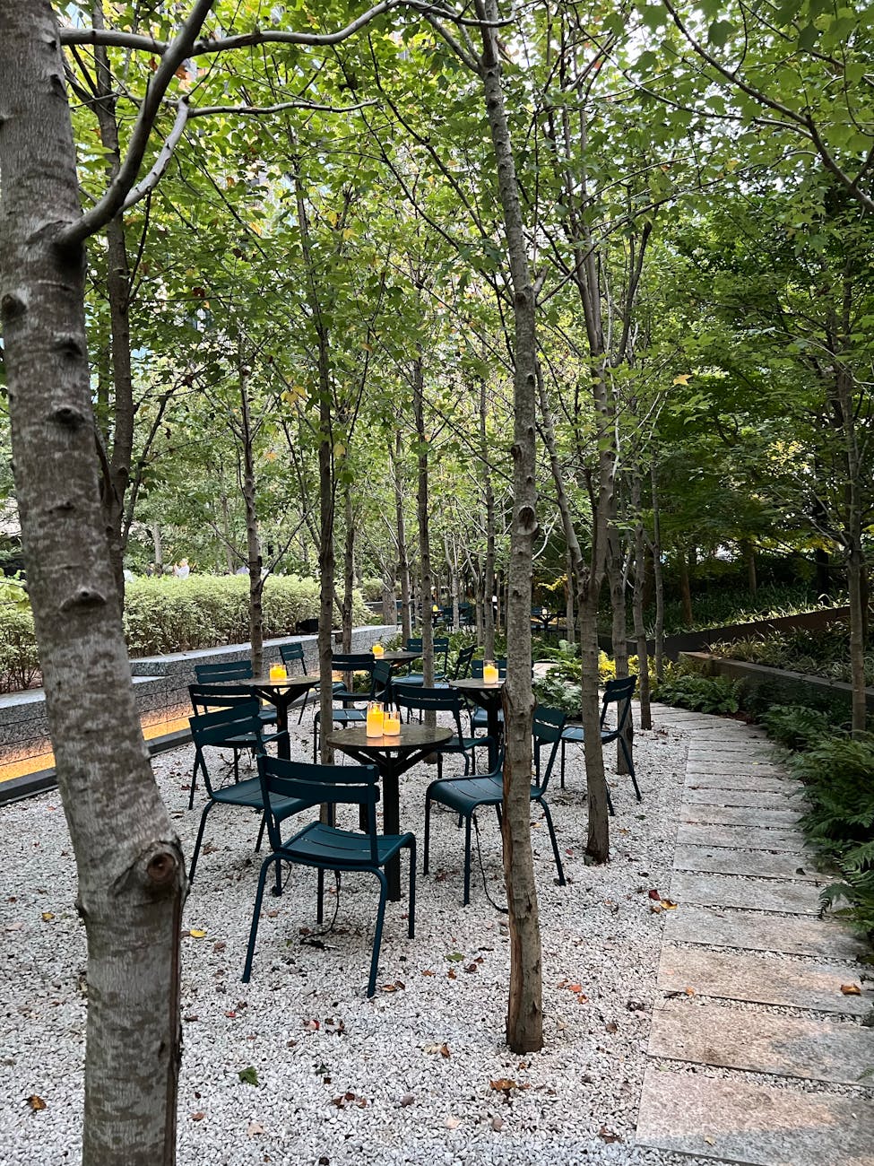 Charming outdoor dining area in a park setting with trees, tables, and chairs.