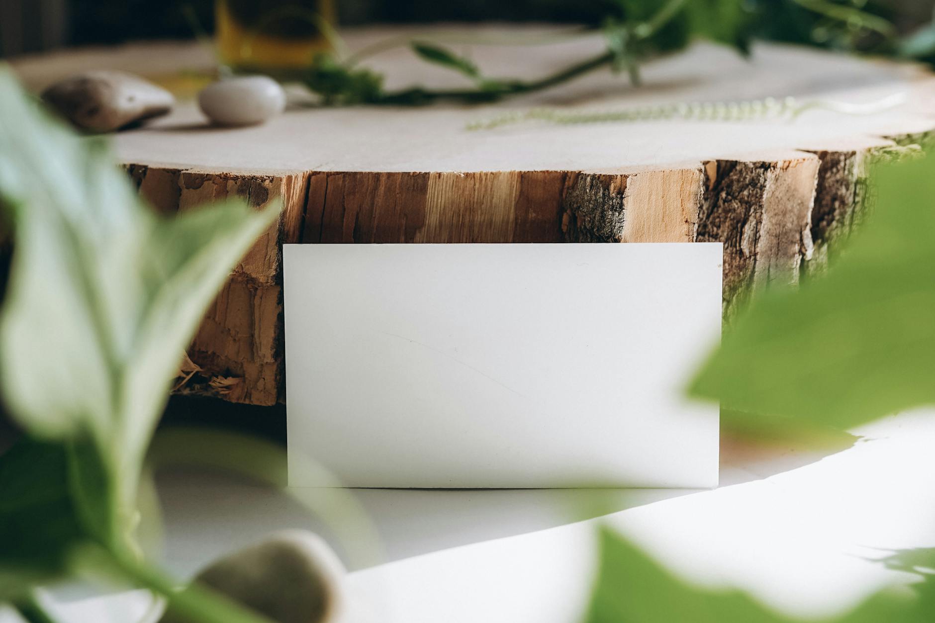 Mockup of a blank business card on rustic wood, surrounded by plants, ideal for branding.