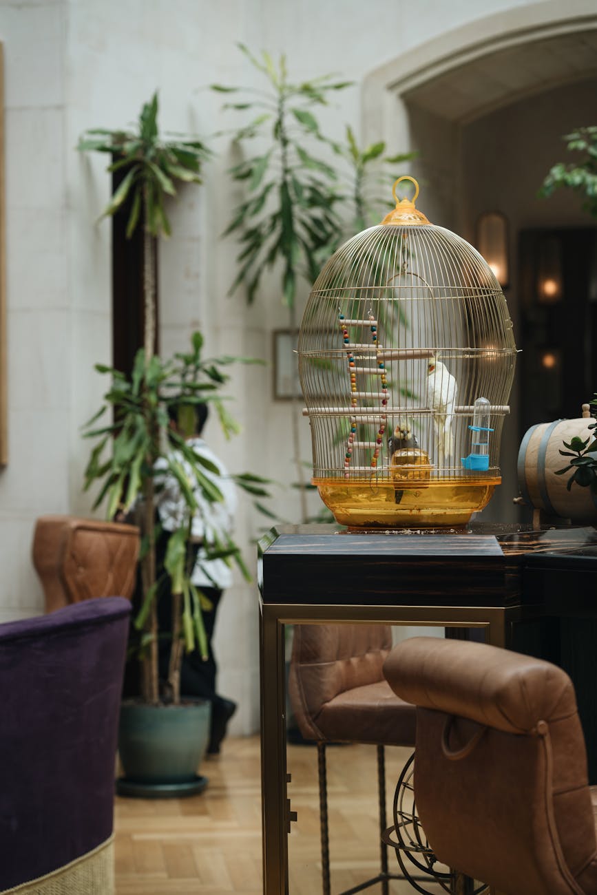 A sophisticated indoor setting featuring a decorative birdcage with a parrot on a table, surrounded by lush plants.