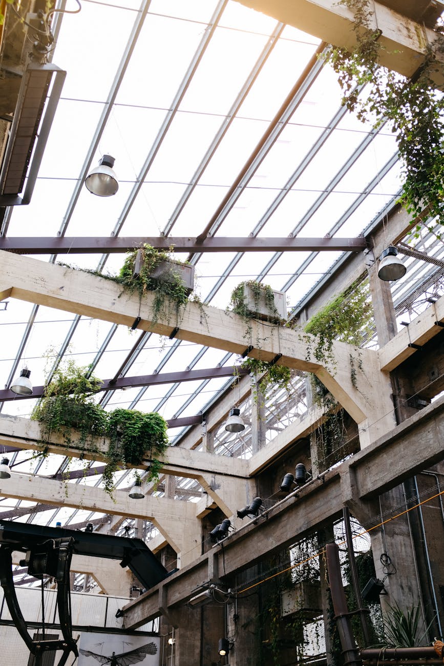 Industrial greenhouse with glass roof, plants, and ceiling beams creating an airy atmosphere.