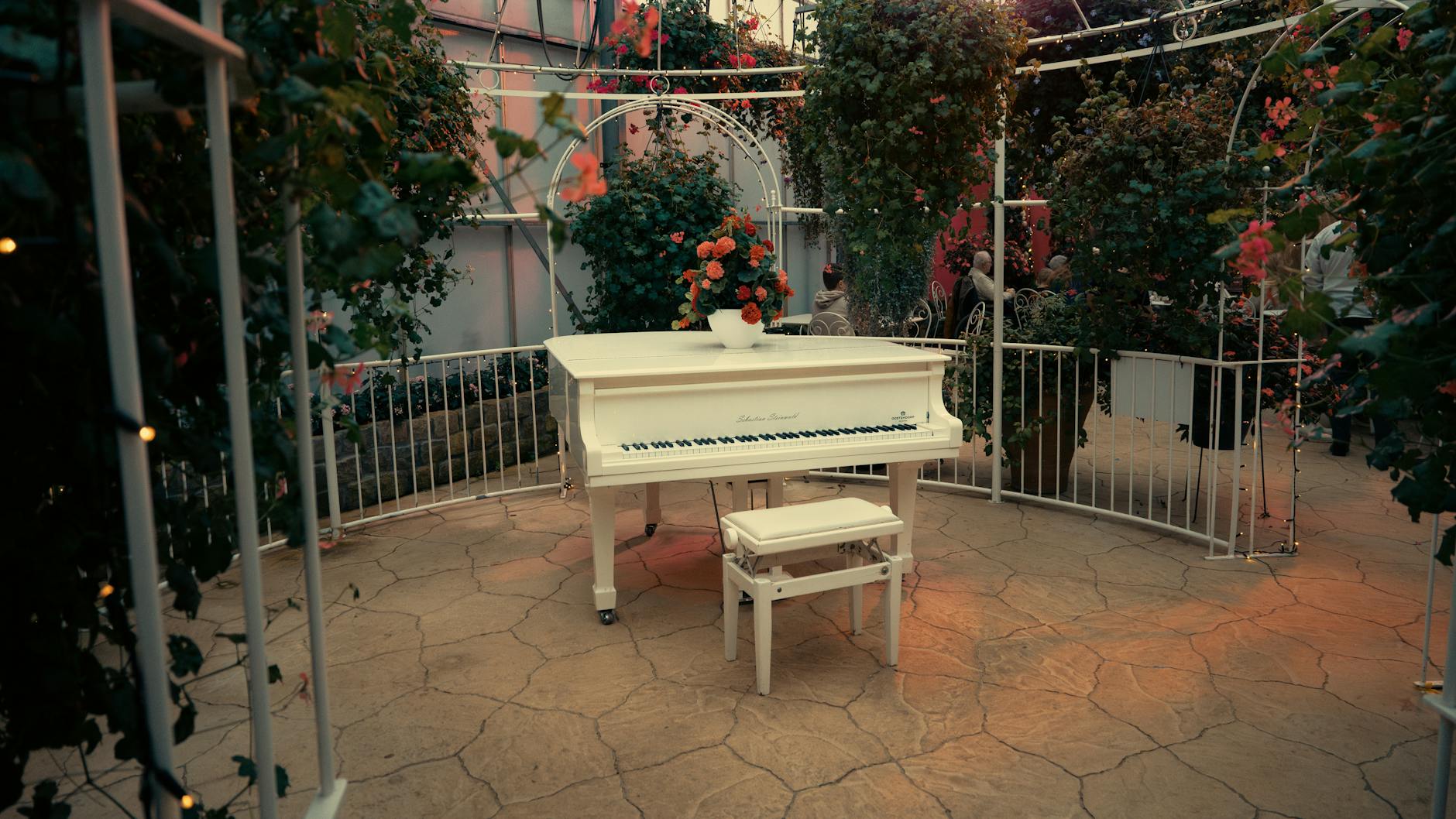 White grand piano with roses in a romantic conservatory setting, ideal for weddings.