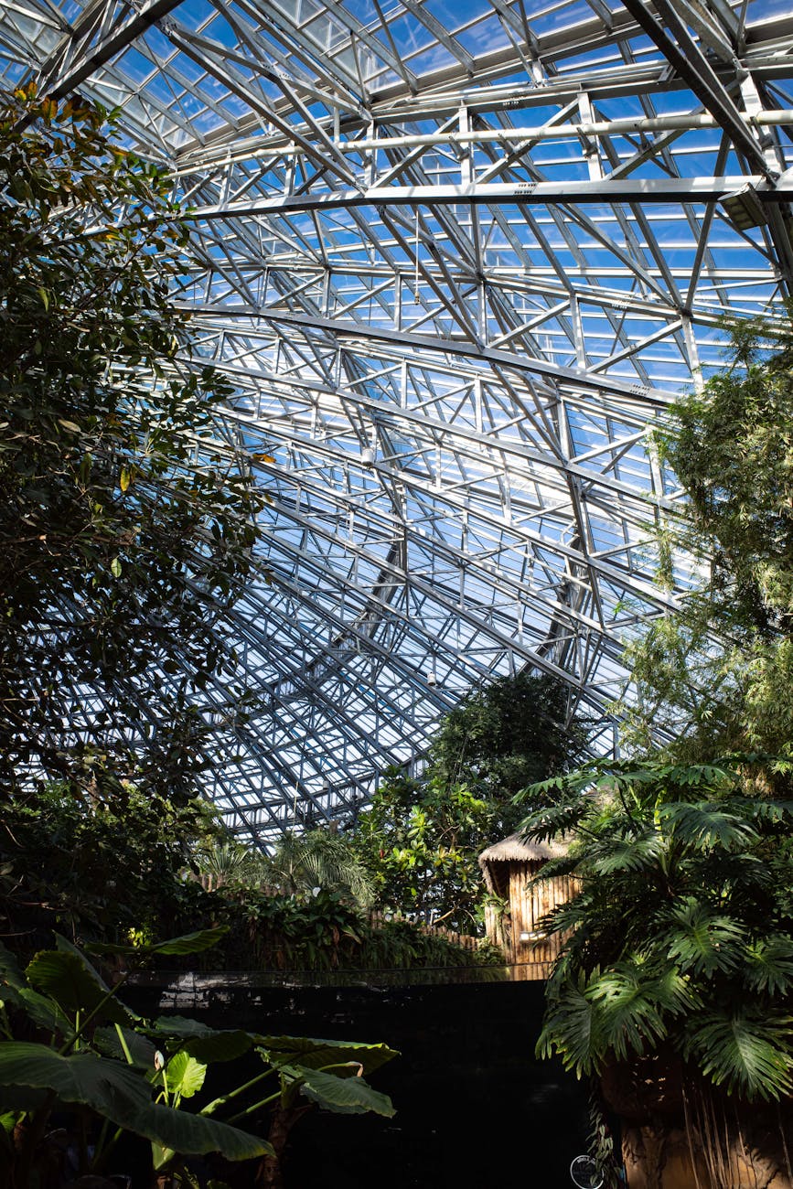 Stunning view of a glass ceiling and lush greenery inside a French greenhouse.