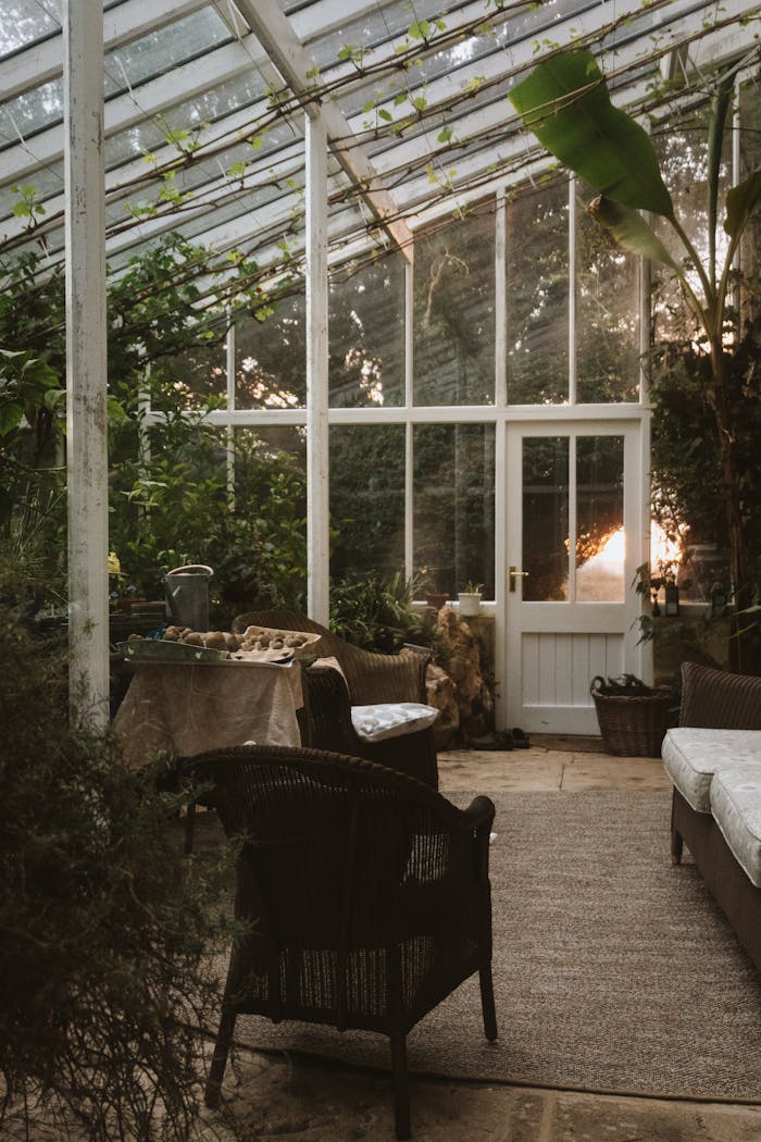 services-04 Peaceful conservatory with plants and evening sun in an English garden.