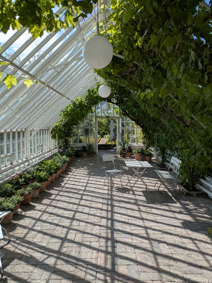Peaceful greenhouse with lush greenery and seating under vibrant sunlight.