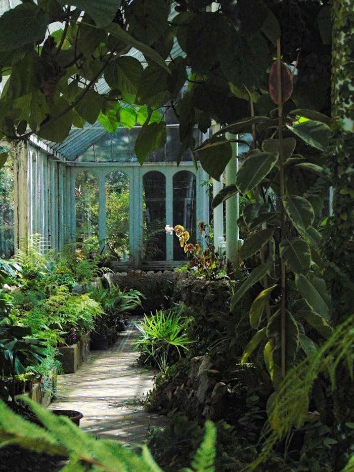 services-02 Explore the tranquil greenhouse lush with various plants in Lota, Bío Bío, Chile.