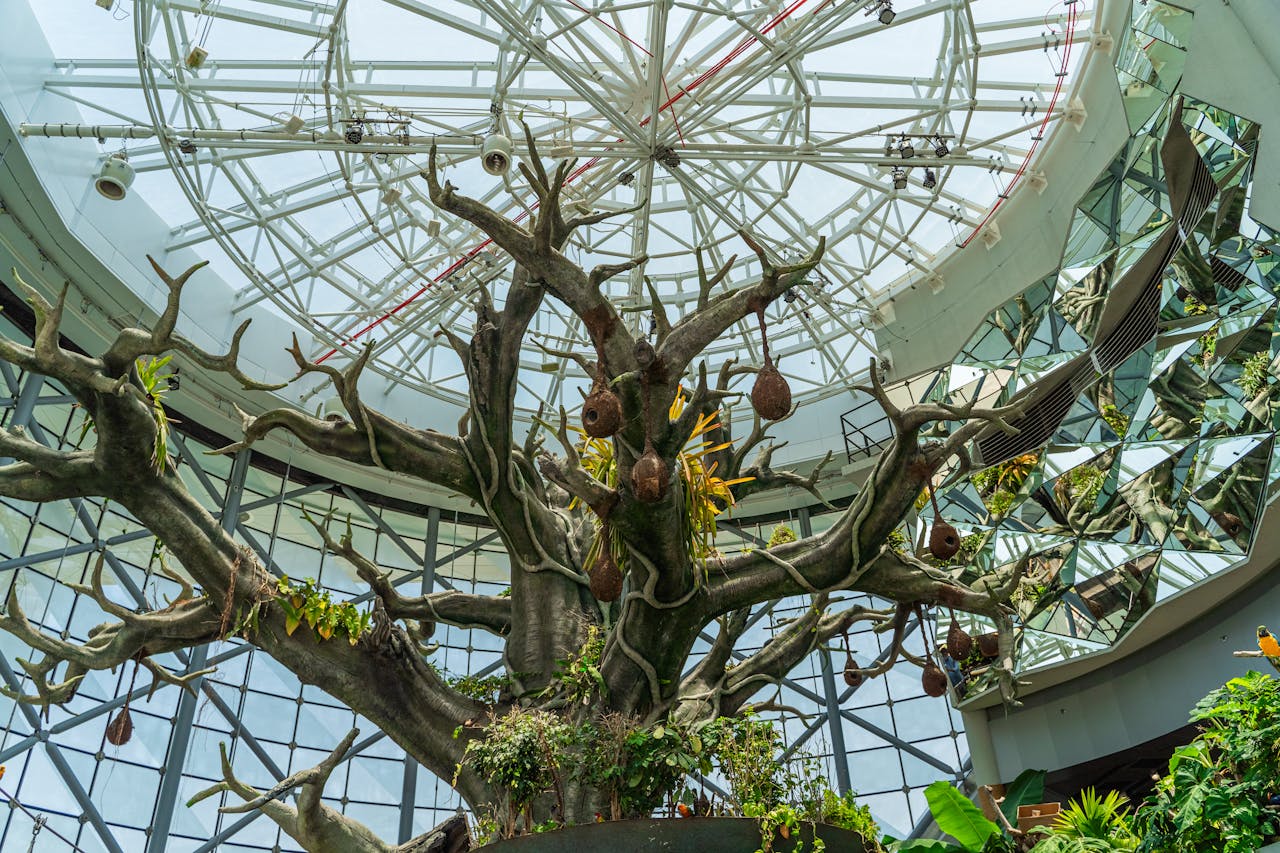 Indoor botanical garden with unique architecture and lush greenery under a glass dome.