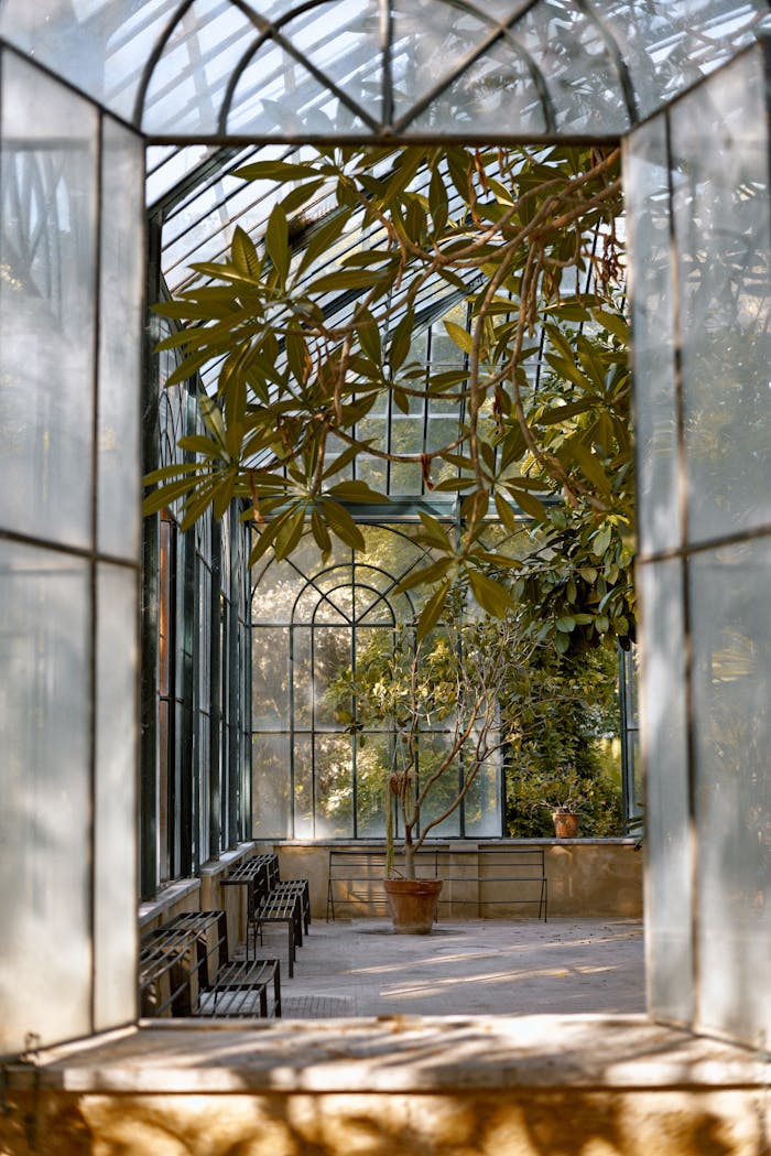 services-01 Peaceful greenhouse space with lush plants and natural light streaming through glass windows.