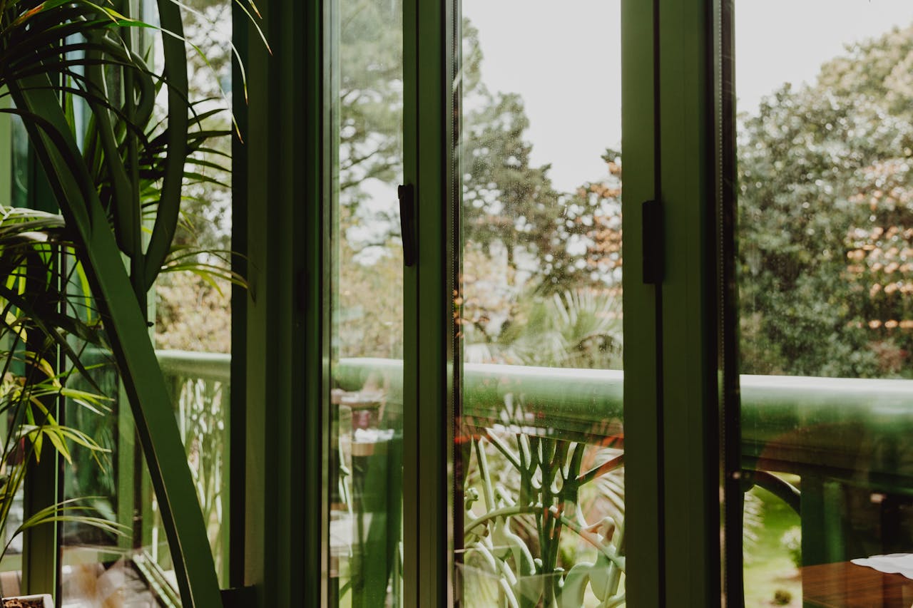 journey Sunlight streams through glass pane windows revealing verdant indoor plants.