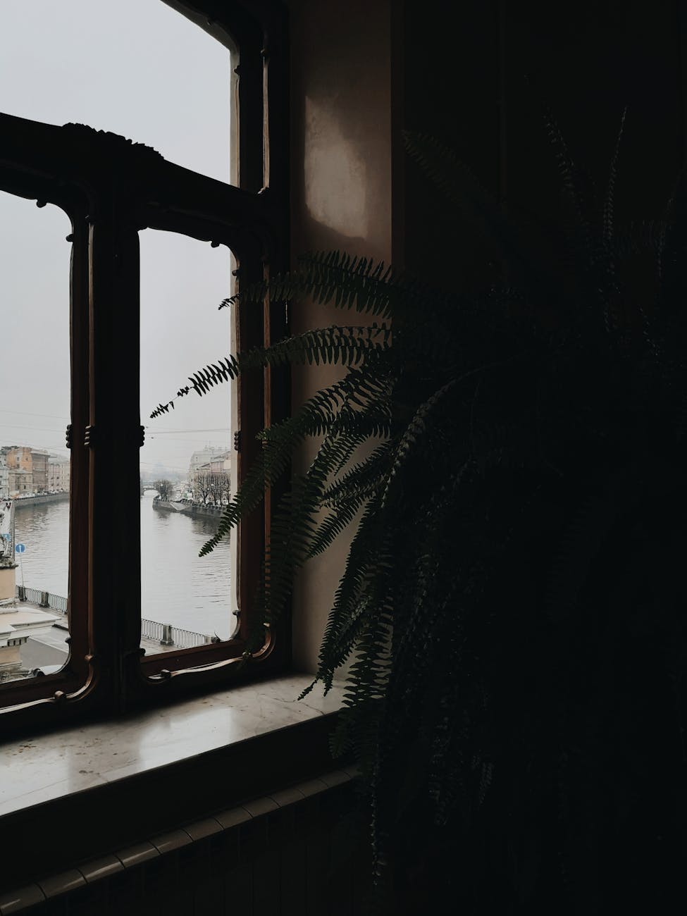 A tranquil view of a river and cityscape through a window adorned with lush fern leaves.