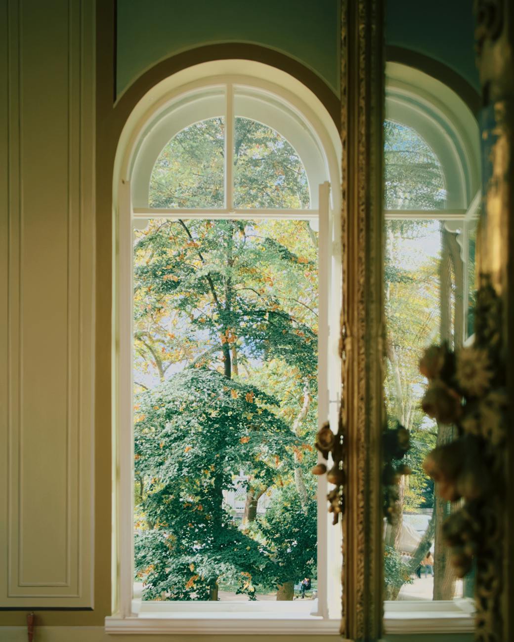 Tranquil indoor scene with a lush tree view through an ornate window. Perfect for peaceful ambiance.